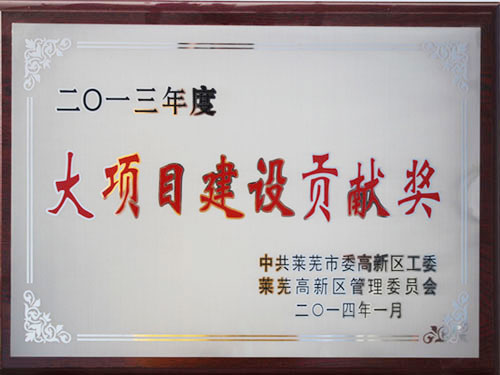 大項目建設貢獻獎